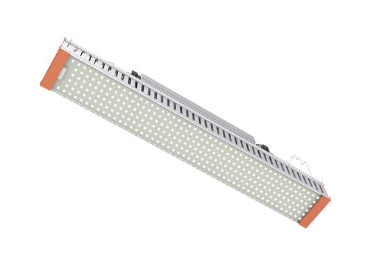 Top Light 680W & 430W Linear